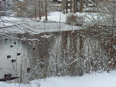 Зимний парк
